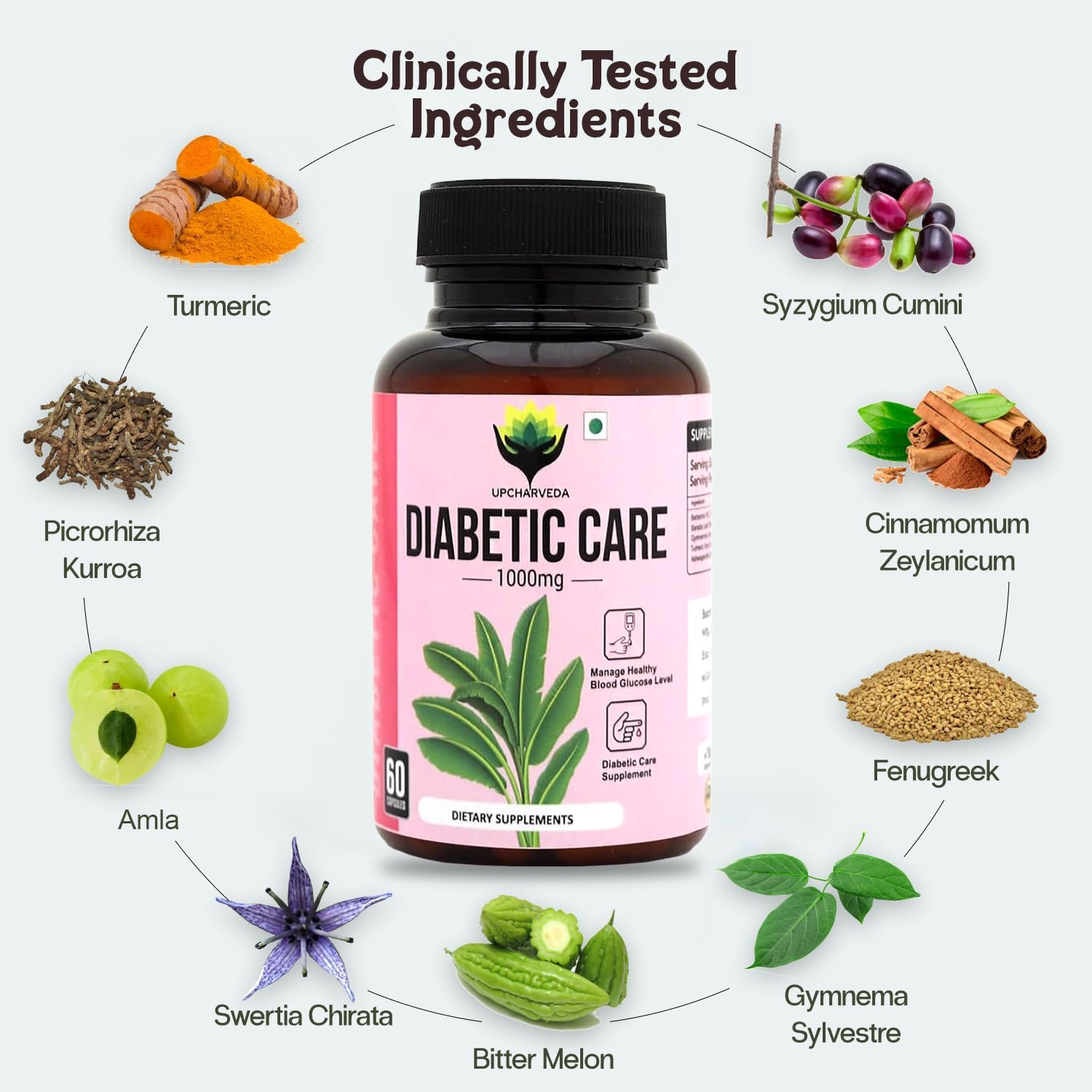Diabetic Care Supplement 1000mg – Herbal Blood Sugar Support Capsules | Manage Healthy Blood Glucose Levels | Ayurvedic Diabetes Care Dietary Supplement – 60 Veg Capsules - Image 5